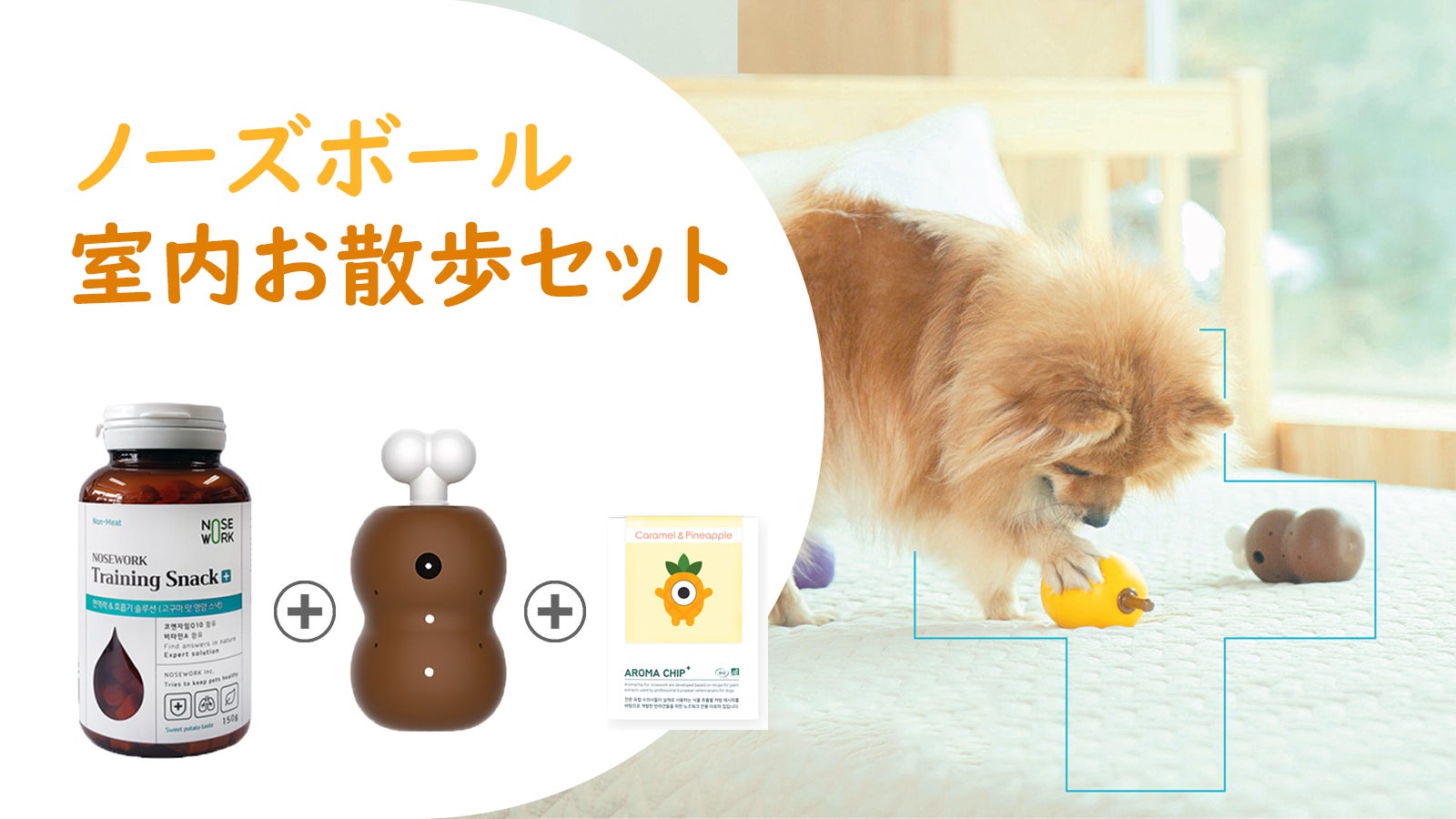 雨の日もOK！愛犬の室内散歩セット！【ノーズボール＋トレイニング