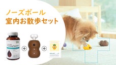 雨の日もOK！愛犬の室内散歩セット！【ノーズボール＋トレイニングスナックセット】