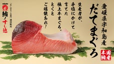 愛媛県産「だてまぐろ」を水揚げから一度も冷凍していない&ldquo;生&rdquo;のままお届けしたい！