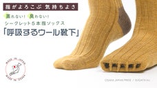 【指がよろこぶ気持ちよさ】蒸れない・臭わない５本指ソックス「呼吸するウール靴下」
