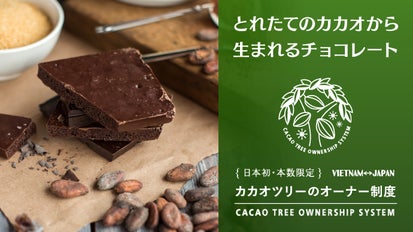 日本初！カカオツリーのオーナー制度。とれたてのカカオから生まれる