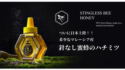 日本上陸】希少なマレーシア産『針なし蜜蜂のハチミツ』をお届けしたい