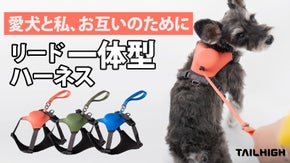 【僕コレがイイ！】お互いの不便を解消。TAILHIGHハイブリッドハーネス