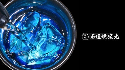 【限定品】スクエアプレート　北極星と海　石垣焼窯元　加賀蒔絵　晴彦　光彦 000642_長角皿（大）_JPN – 石垣焼窯元 Ishigaki-yaki Pottery Studio