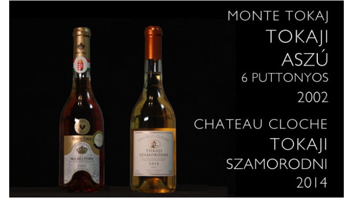 ワイン Tokaji wine トカイ・アスー・5プットニョシュ2019 – ESSENCIA