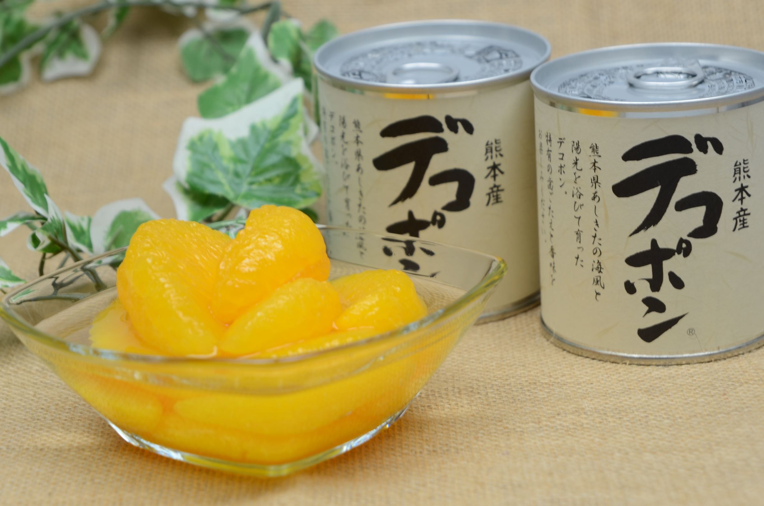 デコポン缶詰　24缶　あしきた農業　熊本県産デコポン　シラップづけ Amazon | JAあしきた デコポン缶詰 (24個（ダンボール