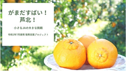 豪雨災害から完全復活！小さなJAの大きな挑戦！自慢のデコポン