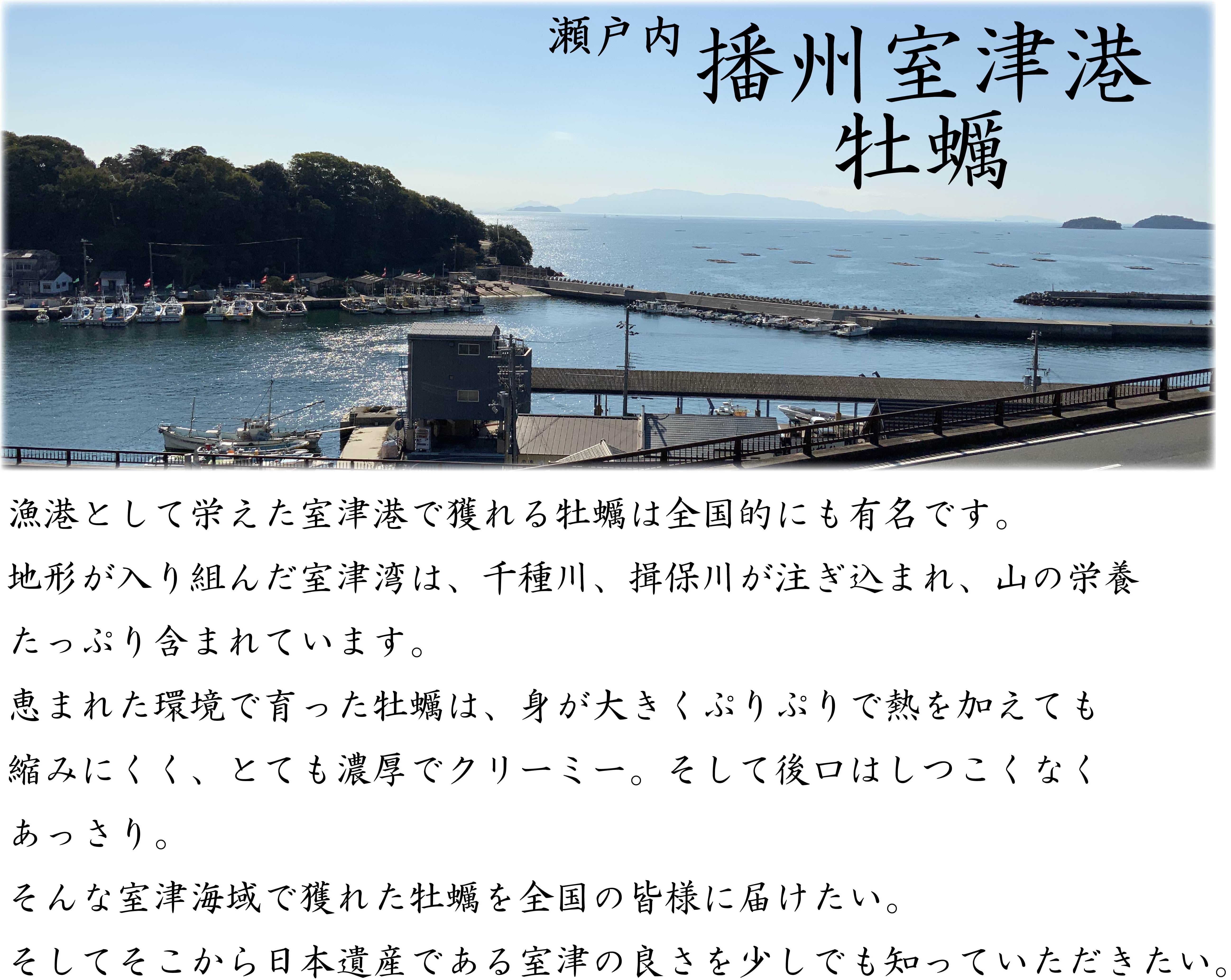 八海石水無川八海山11.5キロ