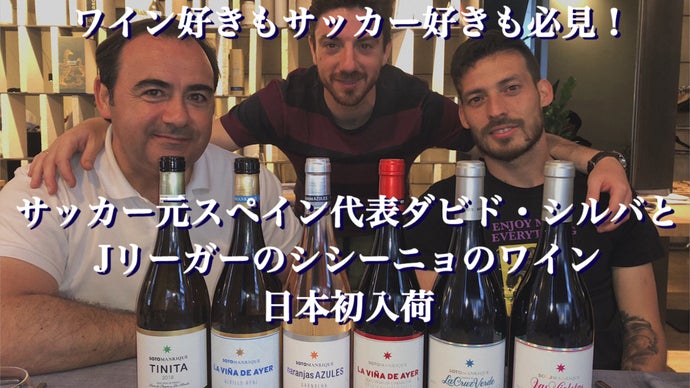 日本初入荷 元スペイン代表ダビド シルバとjリーガーのシシーニョのワイン コミュニケーション詳細 Makuake マクアケ 日本初入荷 元スペイン代表ダビド シルバとjリーガーのシシーニョのワイン コミュニケーション詳細 Makuake マクアケ
