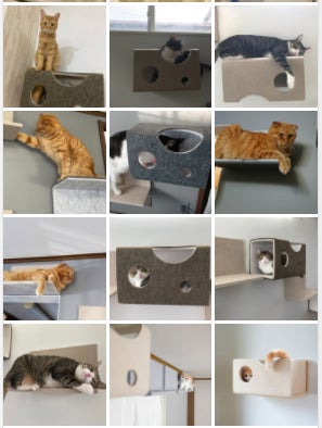 Makuake｜性格や年齢に合わせ着脱自由！LIXILのキャットウォール「猫壁