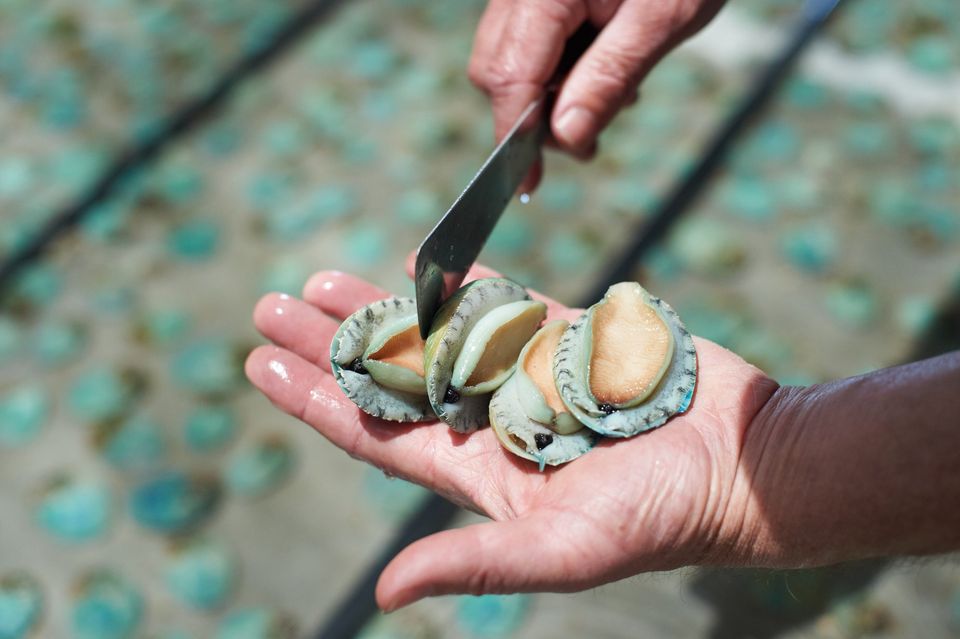 こだわりが強すぎる！あわびの旨味を閉じ込めた肝醤油『ひすいの粋