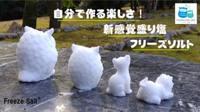 盛り塩づくりの新提案、『フリーズソルト』誕生！！塩に込めた想いを形で表現！