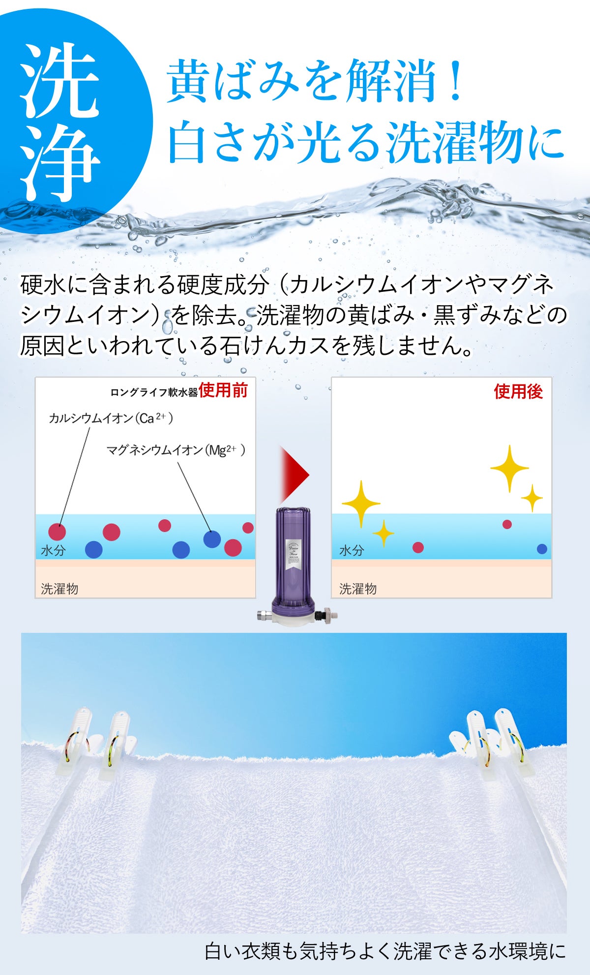 スチーマー　軟水機付き スチーマー用軟水器（カートリッジ1本付）【日本製】の卸・通販