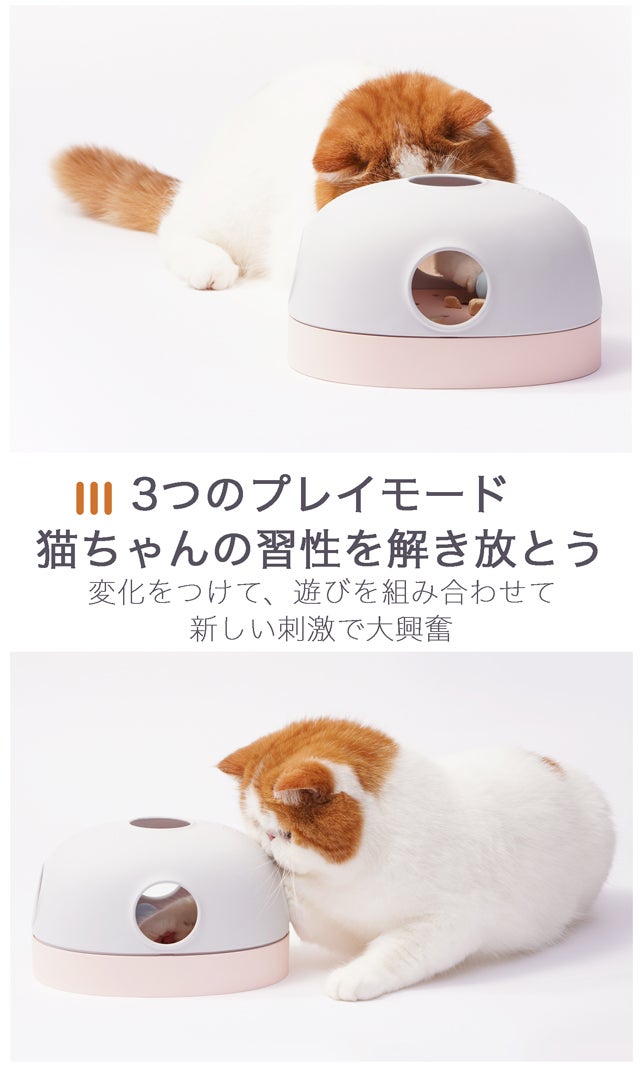 本能を刺激して楽しく遊べる 猫ちゃん専用おもちゃ【 hola cat toy