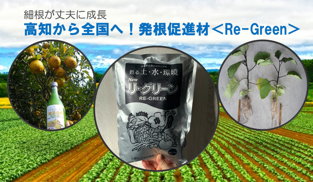 園芸王高知から全国へ】発根促進材＜Re-Green＞を自信を持って届けます