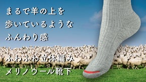 まるでヒツジの背中の上をを歩いているような ふわふわパイルメリノウール靴下