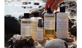 日本人の髪を知り尽くしたコスモスオーガニック認証シャンプーを作り