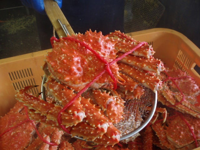 タラバ×ズワイ】キャンプ鍋を北の幸で贅沢に! アウトドア専用カニ鍋