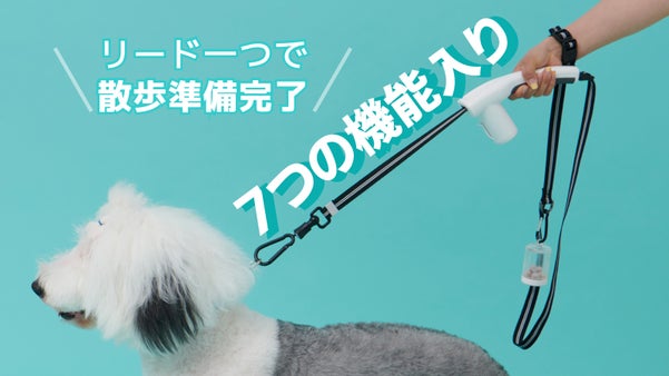 手首ストラップで犬の飛び出しを対応し、リード一つで散歩の準備ができる多機能リード