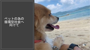 飼い主の事情で犬猫が殺処分されないシステム作りを目指したい