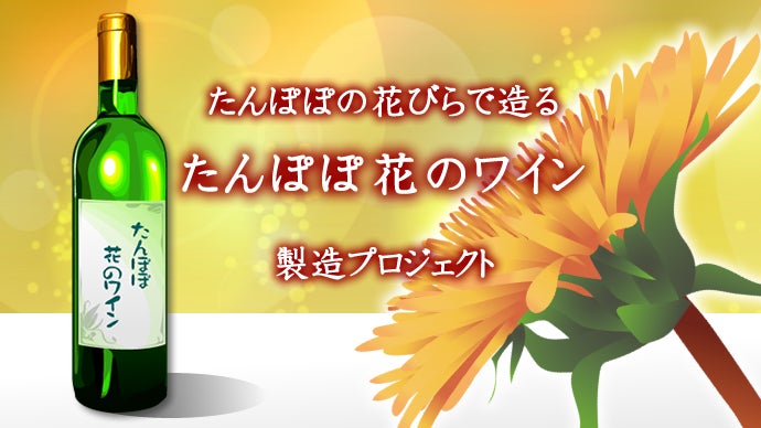 たんぽぽ たんぽぽの花びらでつくる！たんぽぽ花のワイン製造プロジェクト