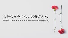 感謝を込めてオーダーカーネーションを贈ろう。100色を栽培する農家から全国の母へ