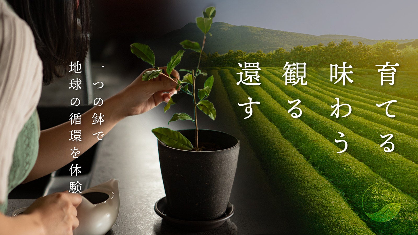 お茶の葉 茶葉の力 45g 864 | お茶のたかしま園