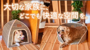 持ち運びラクラク！優しい天然素材でペットも飼い主も嬉しい【ペットハウス/マット】