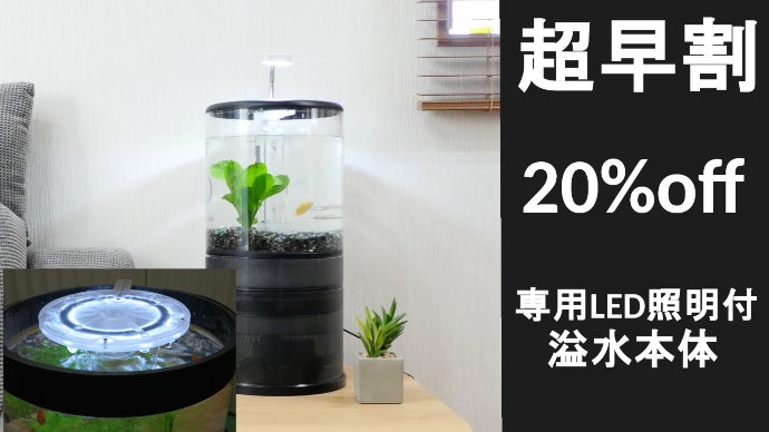 おうち時間を素敵に演出！小型円柱オーバーフロー水槽「溢水（いっすい