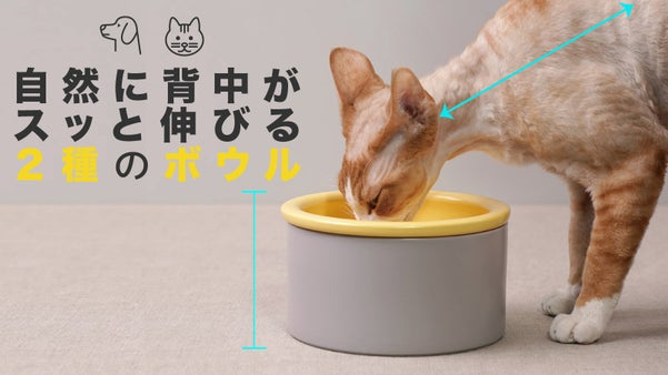 緩やかな首と姿勢で腰が楽！選べられる高さ！２WAYペット専用食器「ハローボウル」