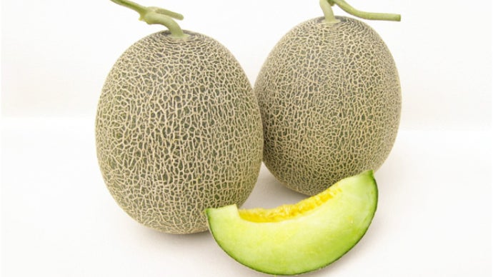 インパクト大！一度食べるとリピート必至。有名レストランも注目の芳醇