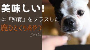 鹿肉専門店が考えた！犬猫ペットのトレーニングに便利な【ひとくちおやつ】