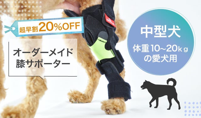 獣医師監修】愛犬の『歩く』を支える オーダーメイド膝サポーター 
