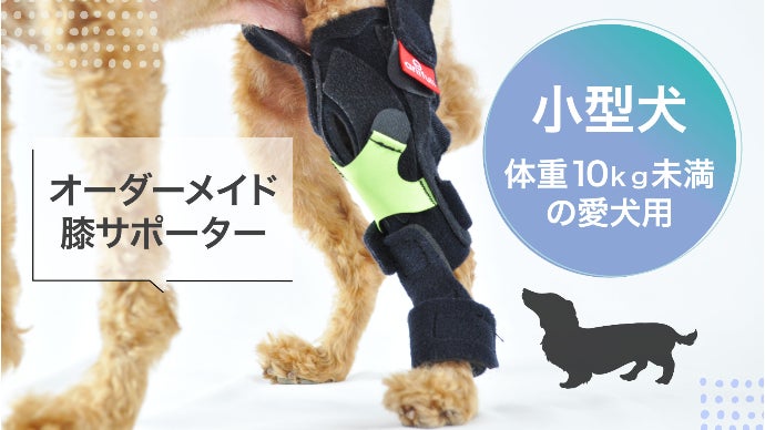 獣医師監修】愛犬の『歩く』を支える オーダーメイド膝