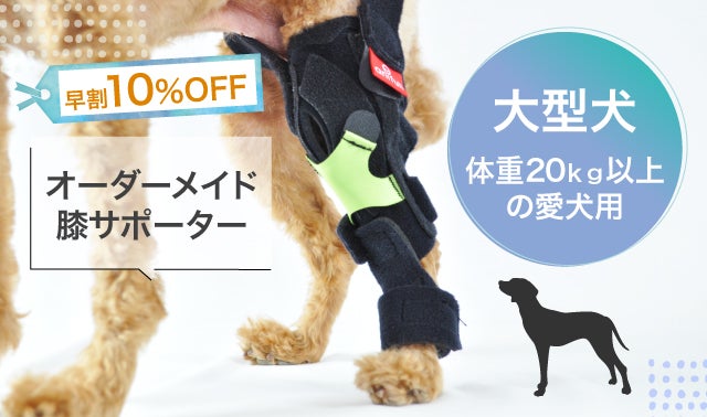 獣医師監修】愛犬の『歩く』を支える オーダーメイド膝サポーター 