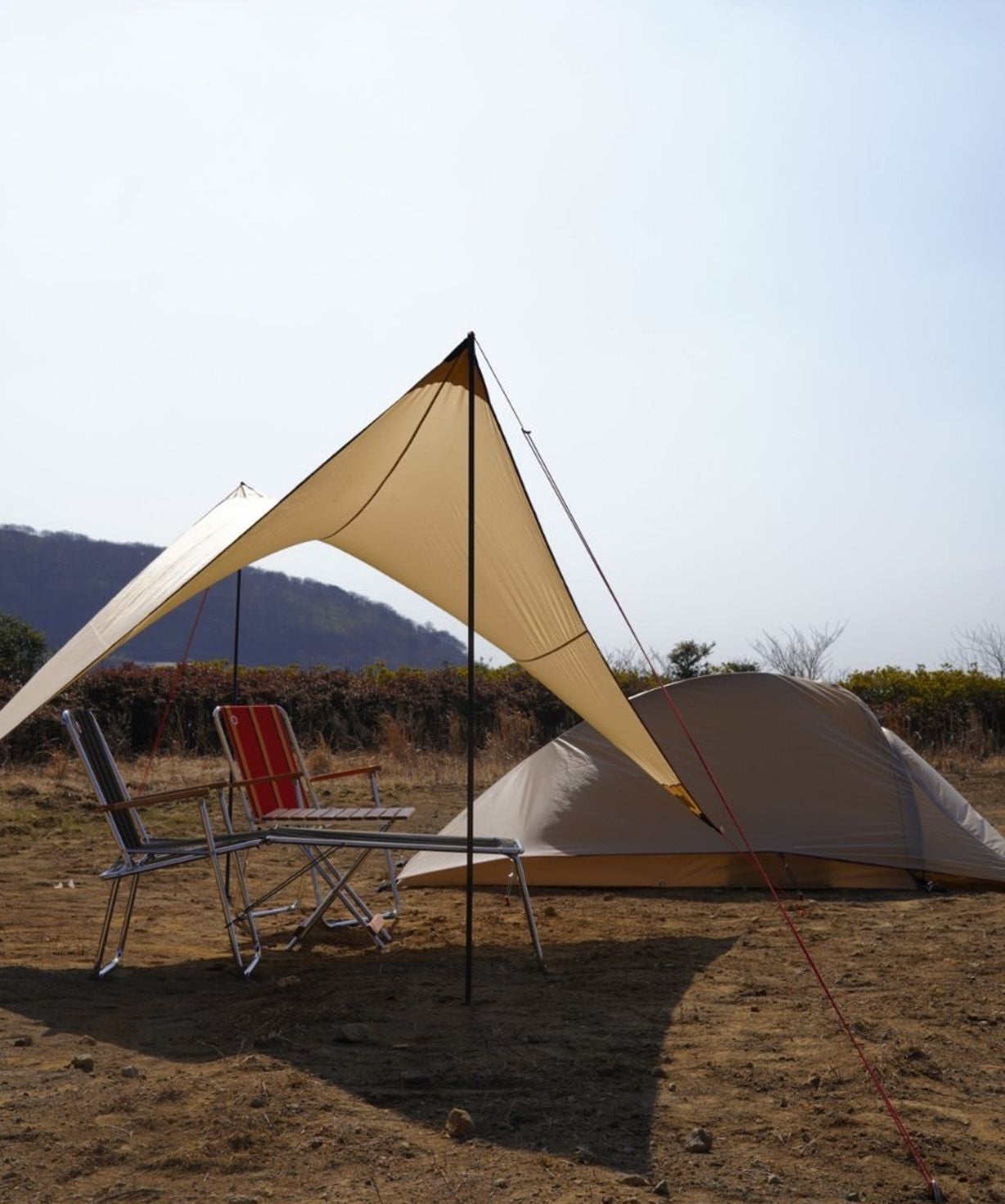 moss tents モス　パラウィング　19フィート MOSS TENTS (モス) ／ パラウィング 19ft | 道具・ギア 【BE-PAL