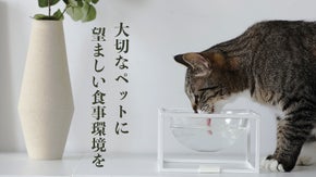 我が家のネコちゃん、ワンちゃんの気持ちに寄り添う 「月光の器」