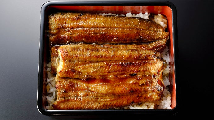 天から舞い降りし極上のウナギ「天空うなぎ」誕生。今春京都に第一号店