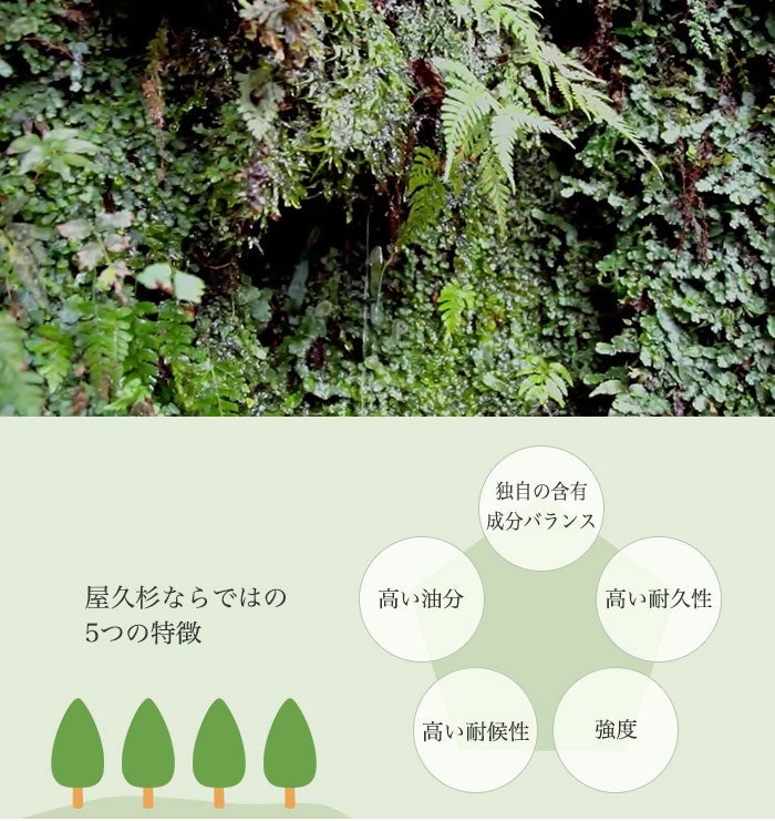 屋久島の香りで気持ちの良い眠り環境へ。環境にもやさしい『やくし
