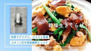 農業女子からきくらげをお届け!!　コリコリ食感!!生きくらげ