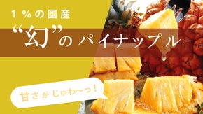 【石垣の夏を一足先に！】果汁の甘さほとばしる&rdquo;幻&rdquo;のパイナップルを御賞味あれ！