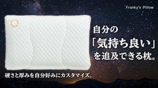 オランダ発!1つの枕で20パターンの組み合わせ「Franky's Pillow」