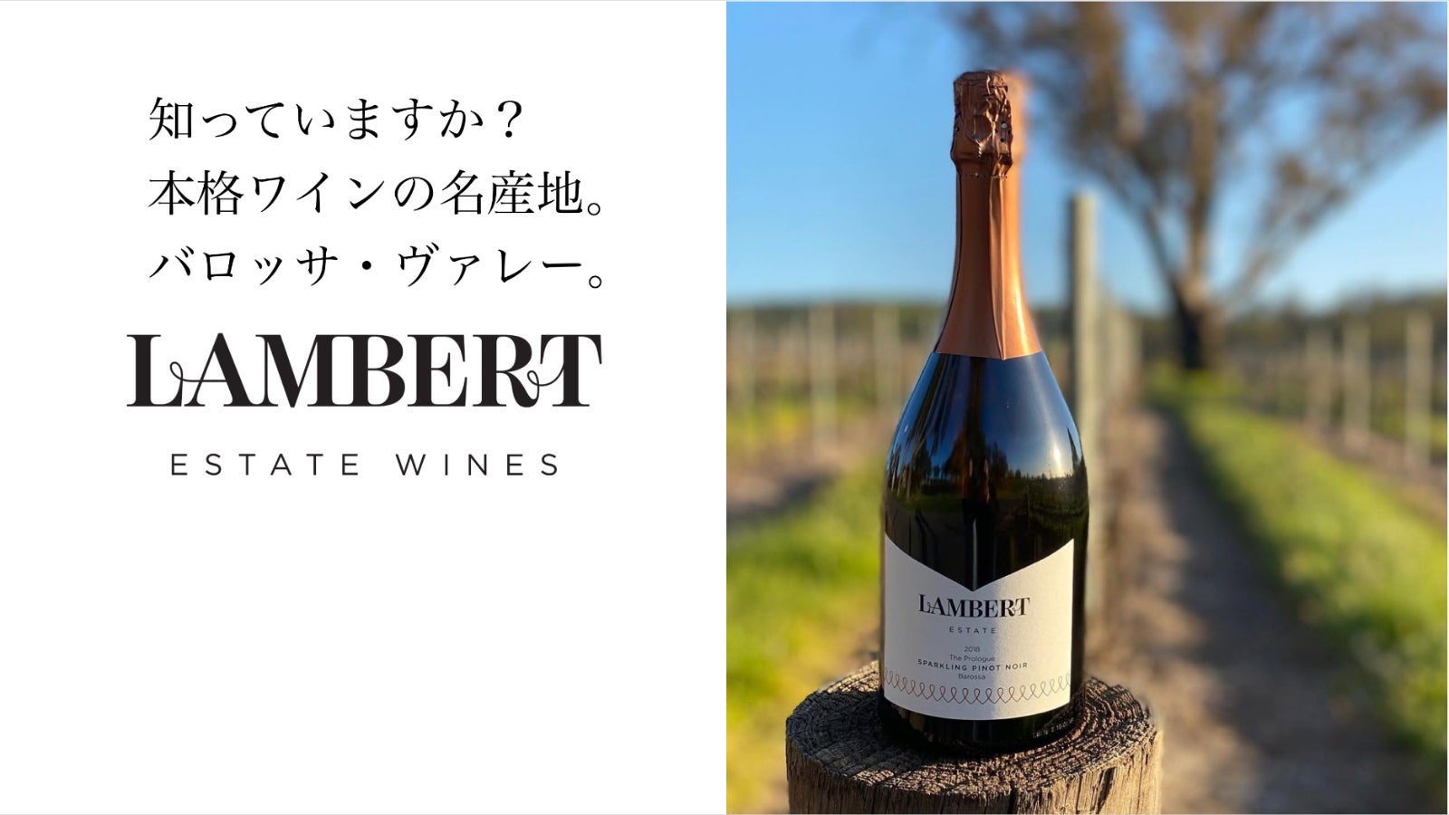 貴重 珍しいワインオープナー ブドウ｜キッチン・日用品・その他 