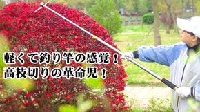 まるで釣り竿のような軽さと扱いやすさ！高枝切りコードレス伸縮式トリマー