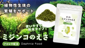 【 かわいい雑貨リターンあり 】クロレラ配合のメダカや微生物のえさ 先行予約受付