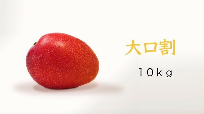 宮古島産マンゴー 10kg 特別価格 宮古島産マンゴー 10kg 特別価格