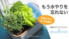 もう枯らさない！自動で水やりしてくれるスマートプランター dewplanter