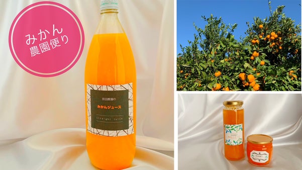 【みかん農園便り】 食卓を彩るみかんシロップ・みかんゼリー・みかんジュース！