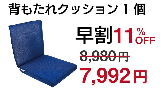 座ると無重力！新感覚3Dコアで極楽の座り心地 治療院監修 【超軽量