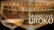 「洞窟の魔法」長期熟成でここまで柔らかい大吟醸へ、新アッサンブラージュで先行登場